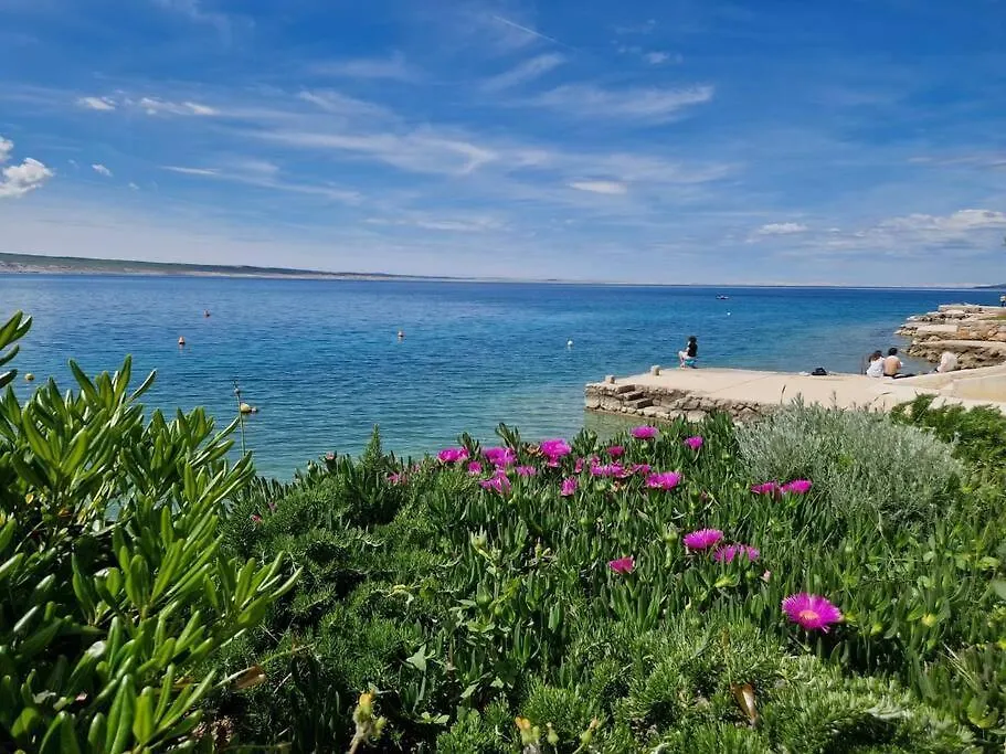 Sea La Vie Villa Starigrad Paklenica 0*,  Croatia